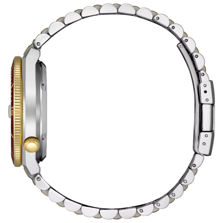 ساعت مچی مردانه سیتی زن مدل NJ0234-58X